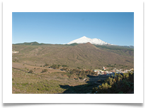 Tiede - Denis McAllister